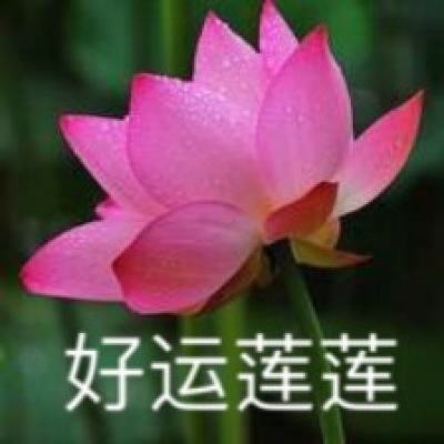星路漫漫之璀璨人生破解版下载